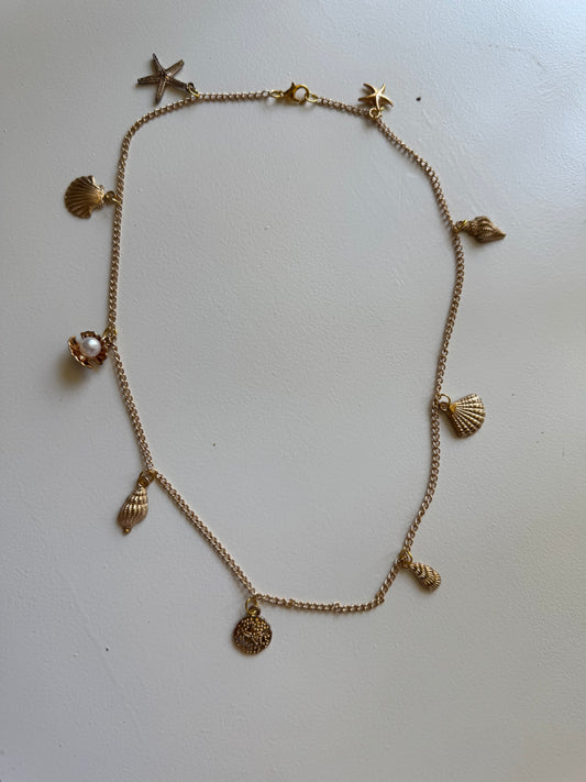 Seashell charm necklace!